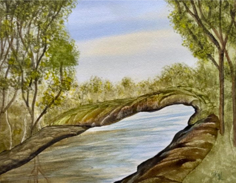 PAINTING WATERCOLOR FOREST TREES POND LANDSCAPE ORIGINAL ART 11X14 AND MAT 16X20