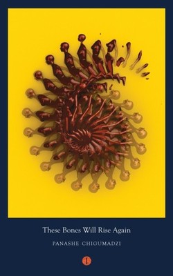 THESE BONES WILL RISE AGAIN by Panashe Writer Chigumadzi Paperback Self Help