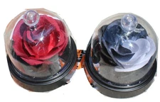 Set of 2 Light Up Rose Cloche Halloween Table Decor with Skeleton hand or Spider