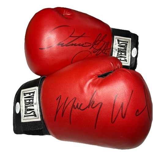 Arturo Gatti/Mickey Ward Autographed Boxing Gloves (JSA Certified)
