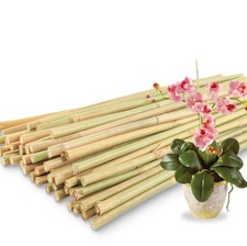 50Pcs / 18 inch Bamboo Plant Stakes for Indoor 18 IN 50PCS, bamboo stakes