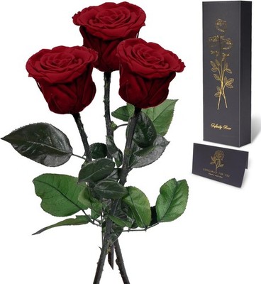 Infinity Rose mit Stiel Geschenke für Frauen, Echte Rose, byHuriye