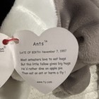 Beanie Babies Ants the Anteater Plush 1999 - Full & McDonalds Size — photo 3
