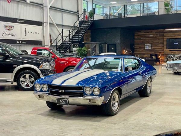 Image Placeholders2_edited.jpg