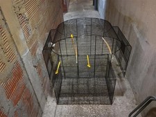 2 cages à oiseaux 