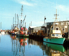 Vintage Continental Postcard  Menemsha Harbor Martha s Vineyard MA c1986