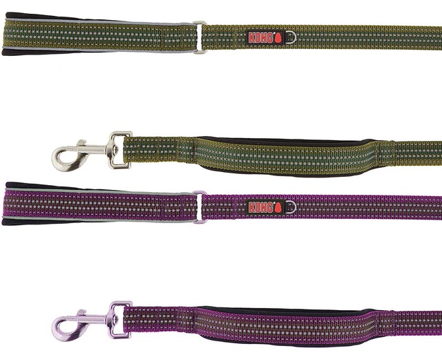kong traffic dog leash