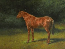 Red Sorrel by Rosa Bonheur Museum Giclee Art Print Ships Free