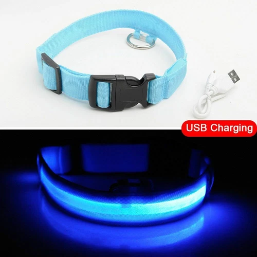 Collar LED de carga USB para perro antipérdida accidentes automovilísticos cachorros suministros de plomo - Imagen 6 de 11