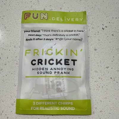 Fun Delivery Frickin' Cricket: Hidden Chirping Sound Device To Prank