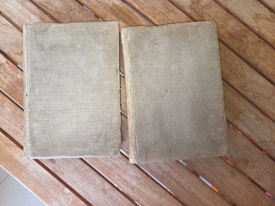 Vintage Russian Encyclopedia / Dictionary – 1910 – Pre-Revolutionary Cyrillic - Image 2 of 4