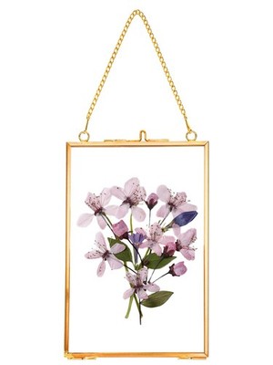 REDHUGO Hanging Pressed Flower Frames, Double Glass Floating Picture Frame Handm