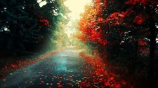 Landscape road fall fallen leaves trees plants outdoors Custom Gaming Mat Desk
