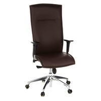 BüRostuhl Leder Chefsessel Schreibtischstuhl Sessel Stuhl FüR BüRo Hjh Office
