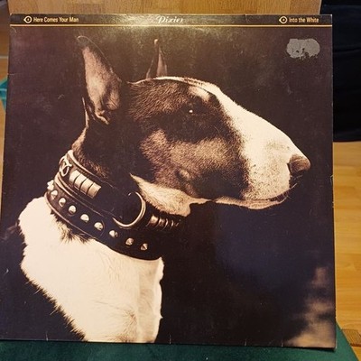 Pixies   Here Comes Your Man _Vinyl  Schallplatte 1989