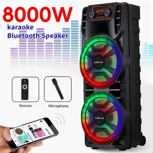 12' Dual Portable Bluetooth Speaker Subwoofer FM Karaoké à basse lourde W/Mic
