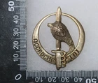 FRENCH COMMANDO COBRA BERET BADGE ALGERIA PERIOD SUPERB COPY