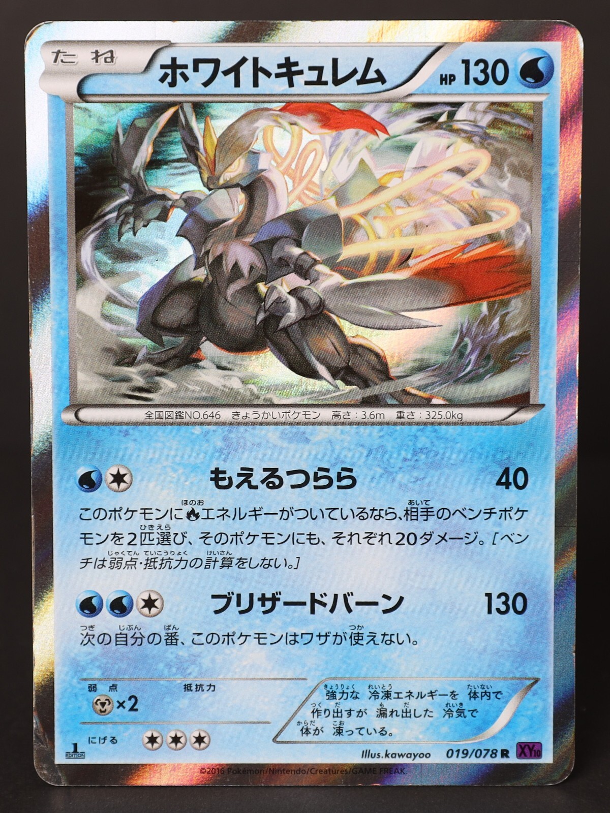 Kyurem 019/078 Holo Rare 1st Edition XY10 2016 Japanese Pokemon Card DAMAGED