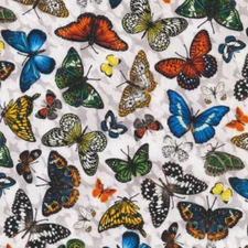 Frolicking Fields Butterflies White - Paintbrush Studio Cotton Fabric