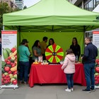 WinSpin 24" Display Prize Wheel Red & Green Modular Custom Tabletop 12 Slots — photo 3