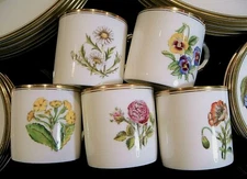 Royal Worcester "Williamson Flower" Bone China Demitasse Cups & Saucers