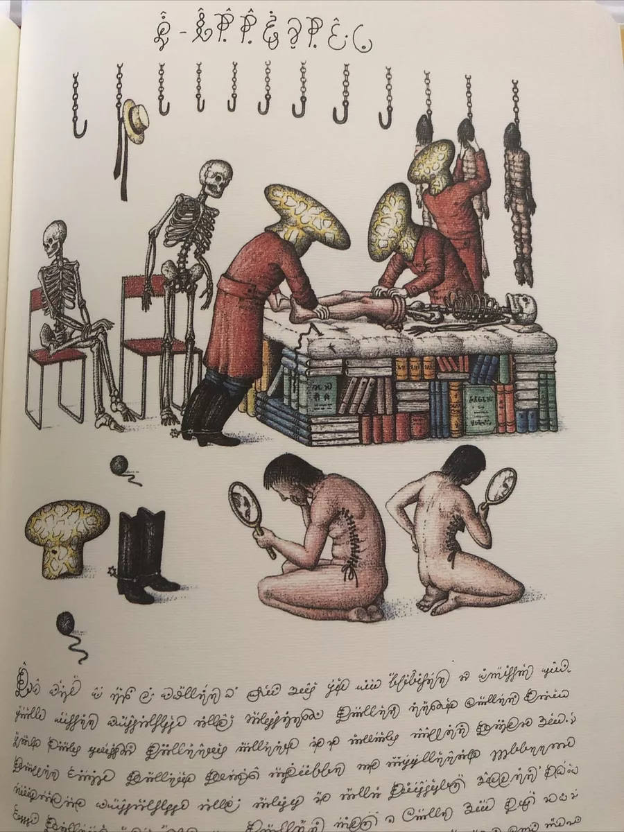 Luigi Serafini Codex Seraphinianus Print 159 13 x 9 Unframed