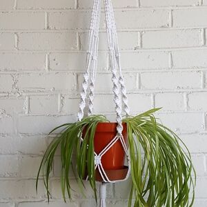 Rope plant hanger