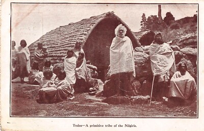 POSTKARTE - INDIEN - TODAS - PRIMITIVER STAMM DER NILGIRIS - TAMIL NADU