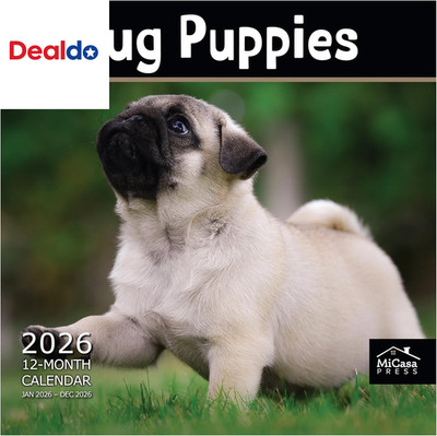 Pug Puppies 2026 Wall Calendar 12 Month | 12'' X 24'' Open | Thick & Sturdy Paper