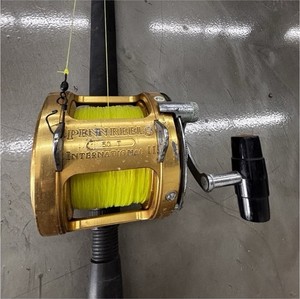 Penn International Rod | eBay