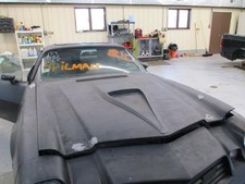 Local Pickup Only Hood Z28 Fits 70-79 Camaro 1727933