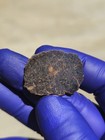 NWA 14922 Mesosiderite Meteorite 3.790g Part Slice Rare Stony-Iron w/ COA — photo 7