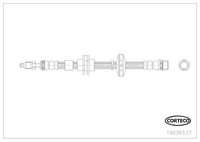 Corteco 19036537 Bremsschlauch FüR Renault