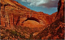 Zion National Park UT Great Arch Switchback Road Postcard unused (27212)
