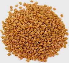 Organic Fenugreek Seed Trigonella foenum-graecum USDA Certified Organic KOSHER