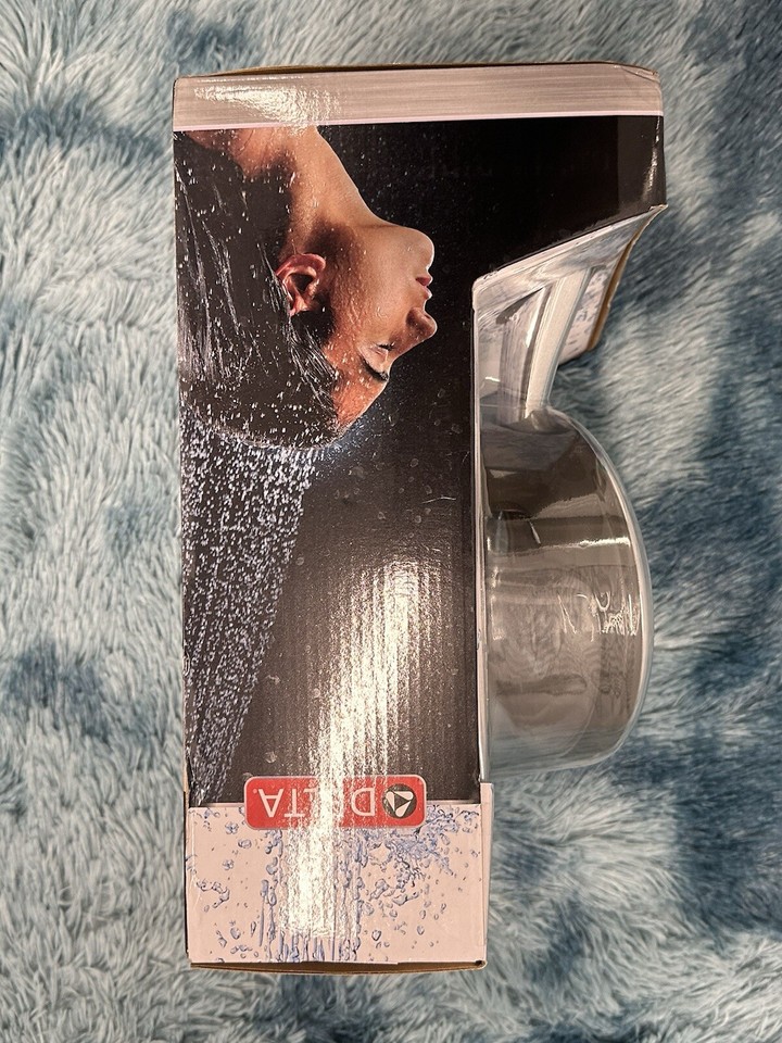 Delta in2ition shower head handheld chrome eBay