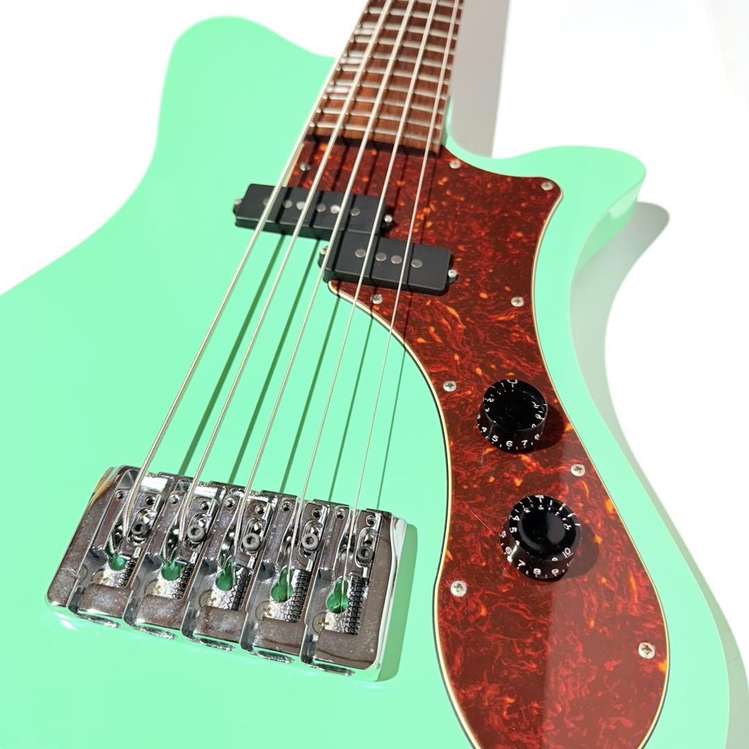 【入手困難品】Ryoga SKATER A-501 SP 5弦ベース Ryoga SKATER A-501 SP 5-string bass Safe Packing! | eBay