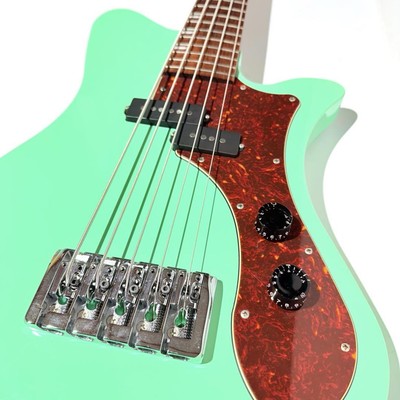 【入手困難品】Ryoga SKATER A-501 SP 5弦ベース Ryoga SKATER A-501 SP 5-string bass Safe Packing! | eBay