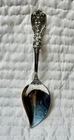 Sterling Reed+Barton Co. "Francis 1st" Pattern Preserve Spoon - No Mono