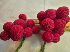 Vintage Millinery Fruit - Raspberries - Hats, Clothes, Costumes  Displays