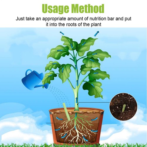 Plant Slow-release Nutrition Stick Plant Flower Bud Potted Special Fertilizer - Picture 7 of 8