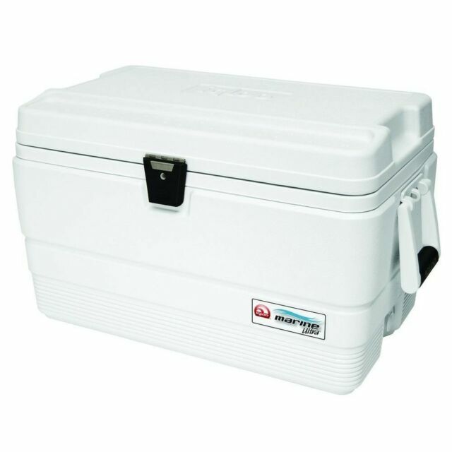 igloo 54 qt cooler