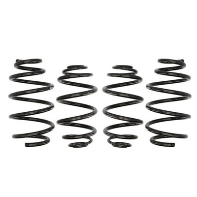   EIBACH SUSPENSION SPRINGS SET E10-65-019-02-22 NEU DE STOCK