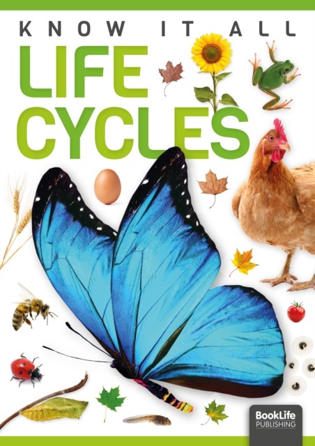 Life Cycles by Louise Nelson (Hardback Book)
