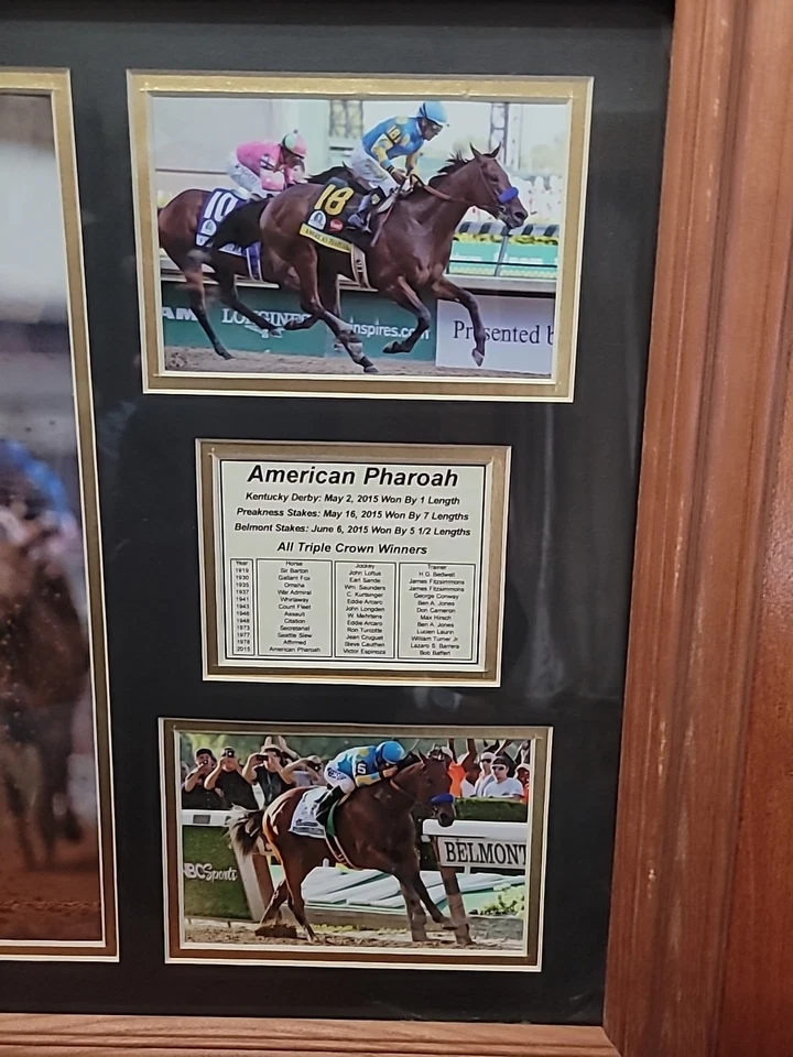Marco de roble ganador triple corona 21x24 estampado enmarcado American Pharaoh Foto 4 de 4
