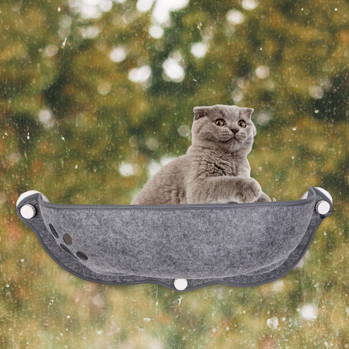 Car window perch cheap