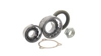 Radlagersatz Vorne Links SKF Vkba 1386 FÜR Iveco Radlager KIT Nabenlager Satz