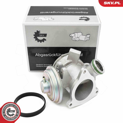 ESEN SKV 14SKV242 AGR-Ventil für FORD,MERCEDES-BENZ