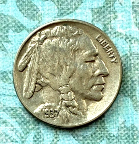 1937 "P"Mint buffalo BEAUTY, "Extra Fine"  higher grade, COMPLETE horn, SHIMMER!