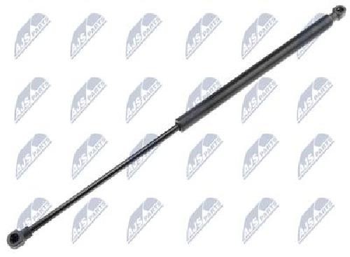 NTY Gas Strut Trunk Luggage Compartment AE-RE-015 for Renault